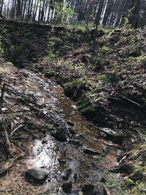 4 Cotton Road Canton, GA 30115 - Photo 2 of 13