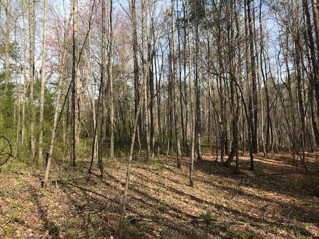 4 Cotton Road Canton, GA 30115 - Photo 11 of 13