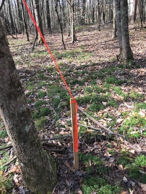 4 Cotton Road Canton, GA 30115 - Photo 12 of 13