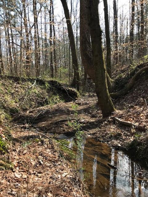 4 Cotton Road Canton, GA 30115 - Photo 3 of 13