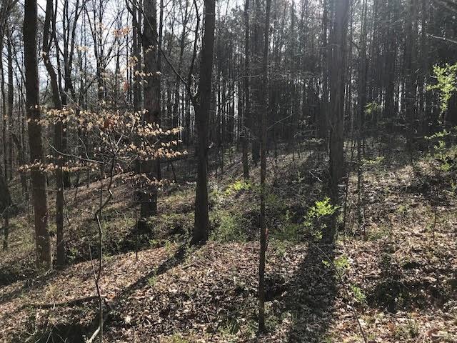 4 Cotton Road Canton, GA 30115 - Photo 6 of 13