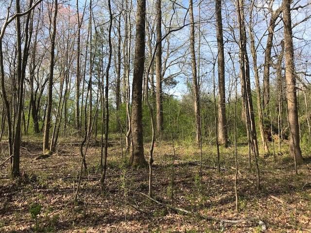 4 Cotton Road Canton, GA 30115 - Photo 7 of 13