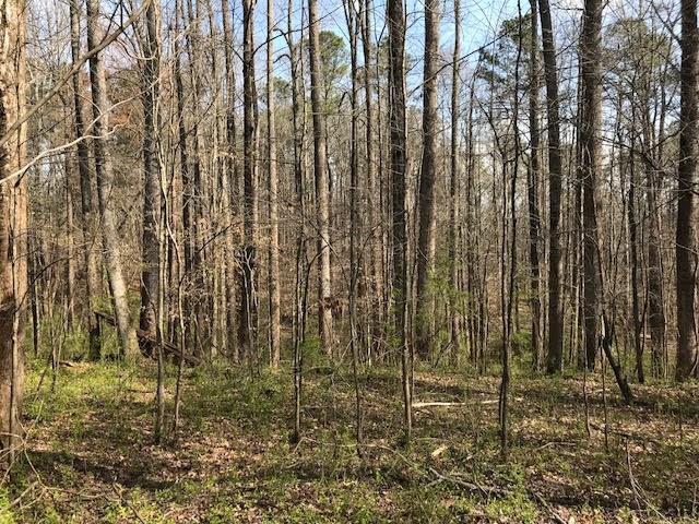 4 Cotton Road Canton, GA 30115 - Photo 8 of 13