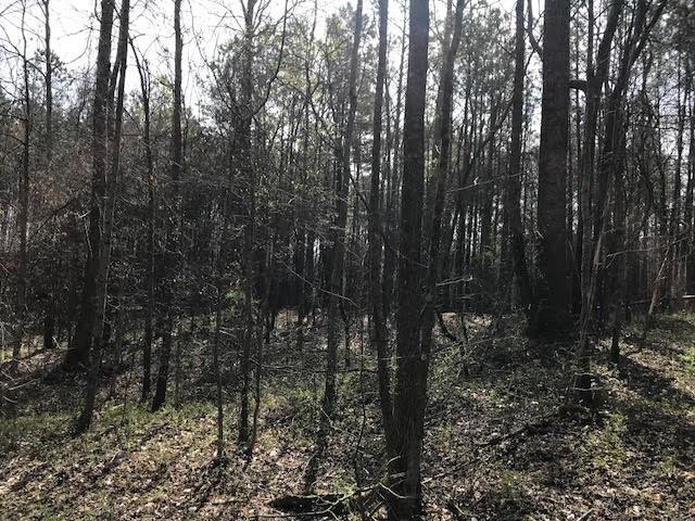 4 Cotton Road Canton, GA 30115 - Photo 9 of 13