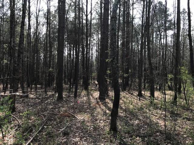 4 Cotton Road Canton, GA 30115 - Photo 10 of 13