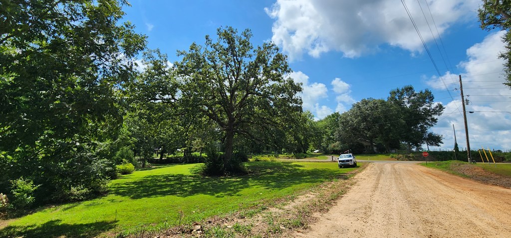 2120 County Line Road Dothan, AL 36305 - Photo 54 of 68