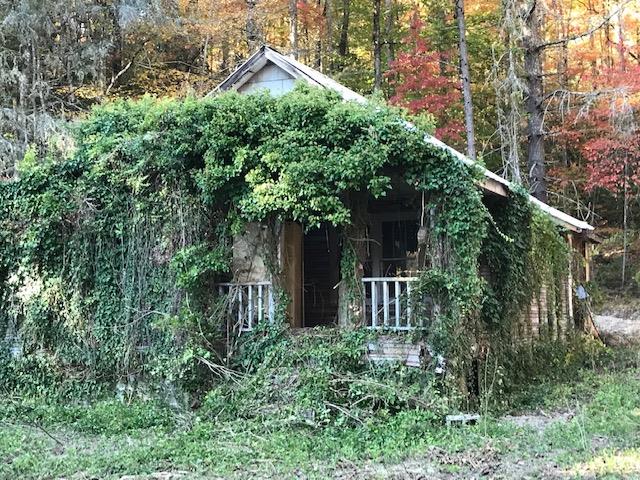 1548 Cook Creek Road Murphy, NC 28906 - Photo 17 of 17