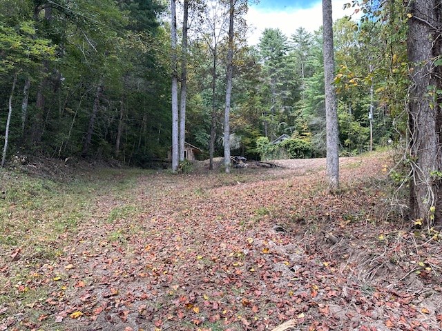 1548 Cook Creek Road Murphy, NC 28906 - Photo 2 of 17