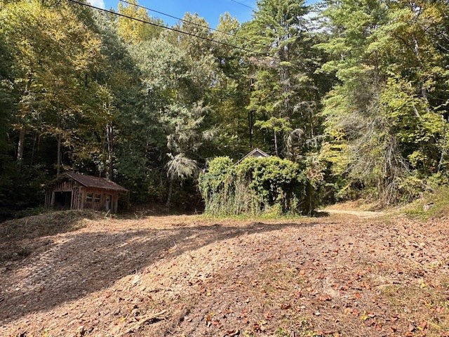 1548 Cook Creek Road Murphy, NC 28906 - Photo 3 of 17