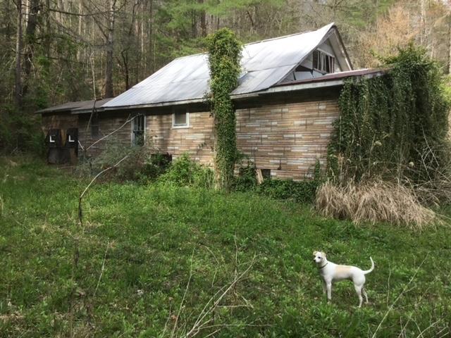 1548 Cook Creek Road Murphy, NC 28906 - Photo 9 of 17