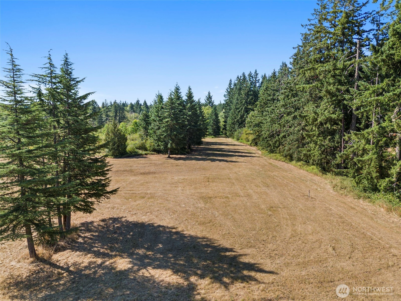 1088 Koontz Road Napavine, WA 98532 - Photo 34 of 36 a view of outdoor space with mountain view