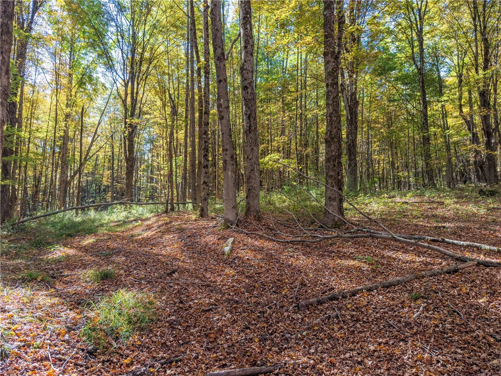 Reservoir Hill Road Norwich, NY 13815 - Photo 20 of 50