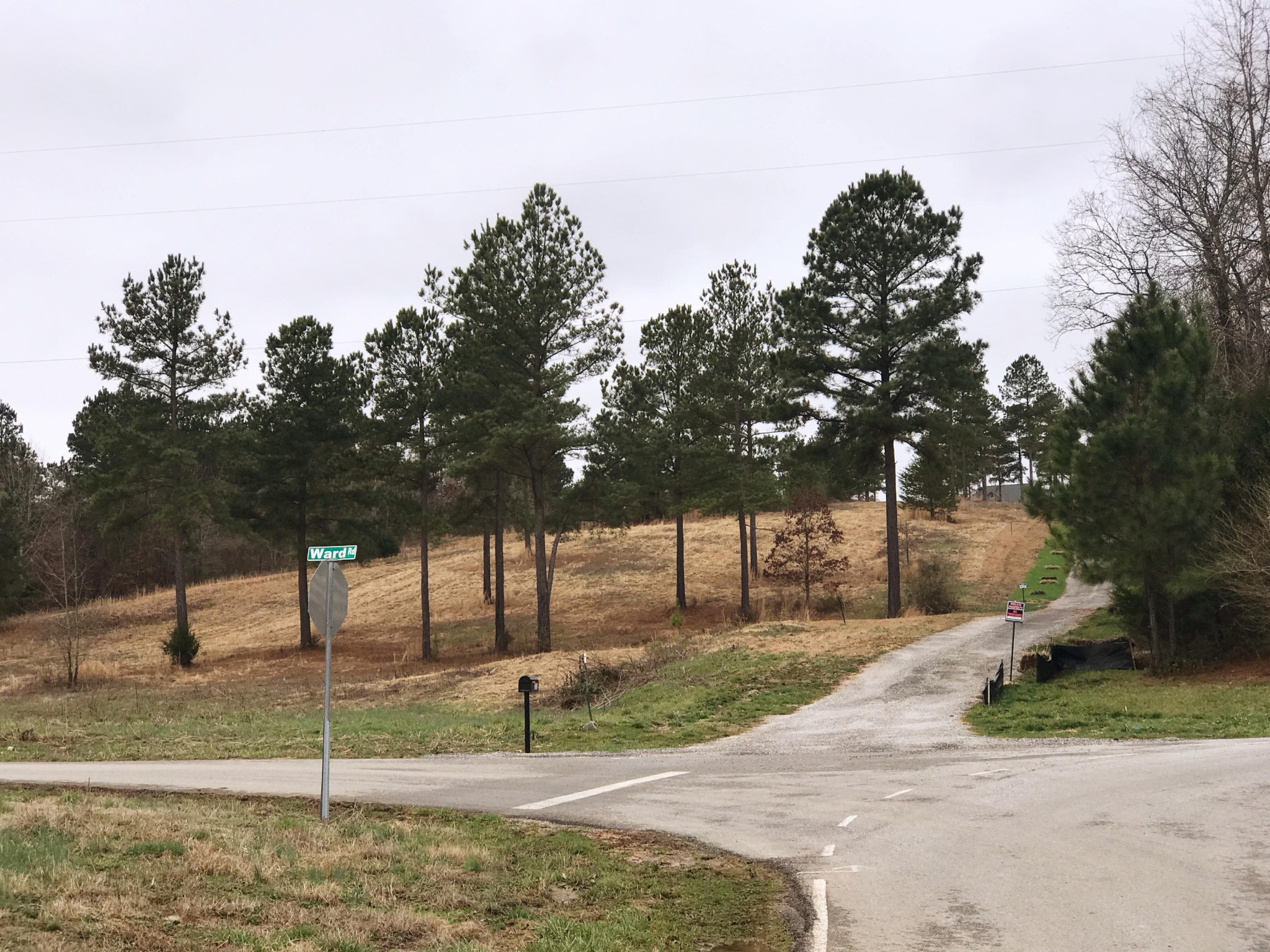 150 Ward Road Loudon, TN 37774 - Photo 1 of 6