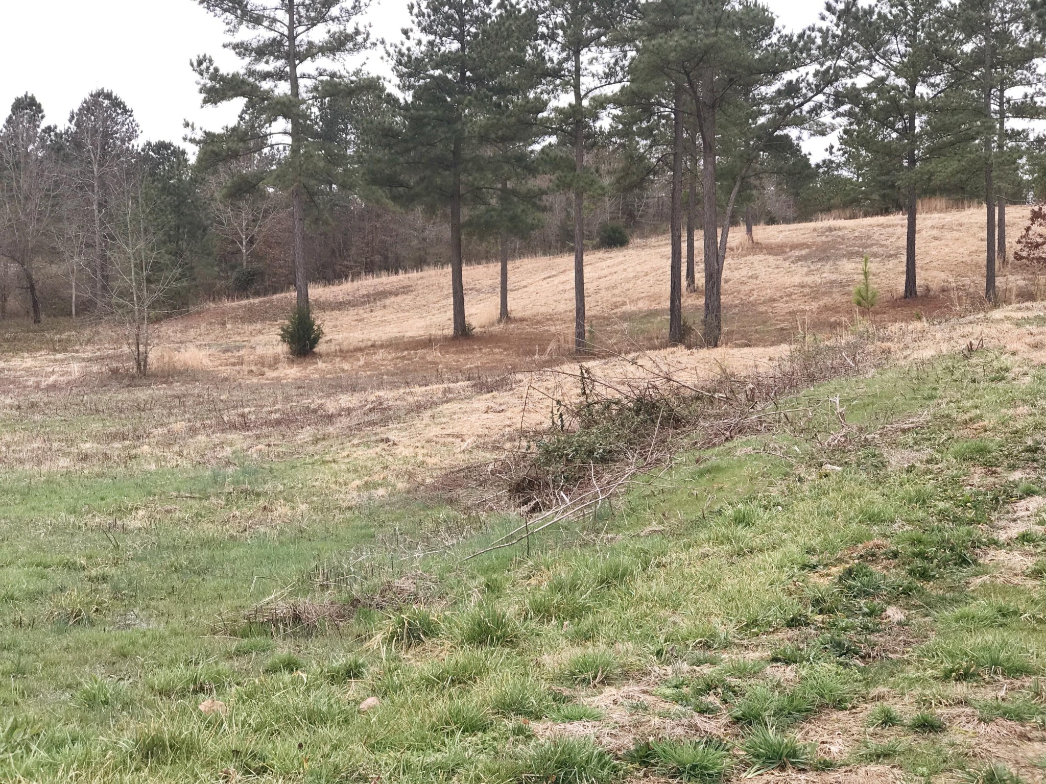 150 Ward Road Loudon, TN 37774 - Photo 2 of 6