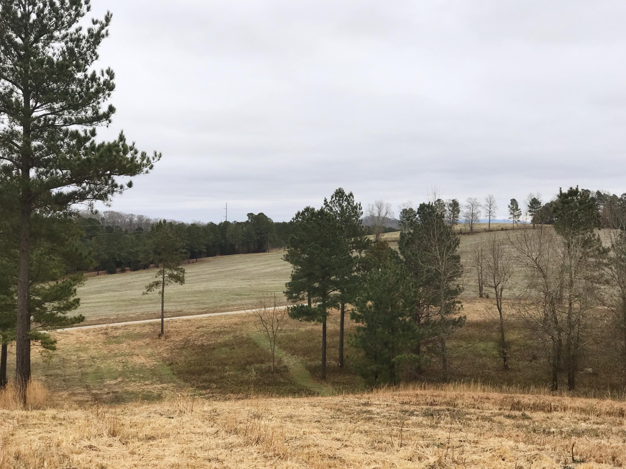 150 Ward Road Loudon, TN 37774 - Photo 4 of 6