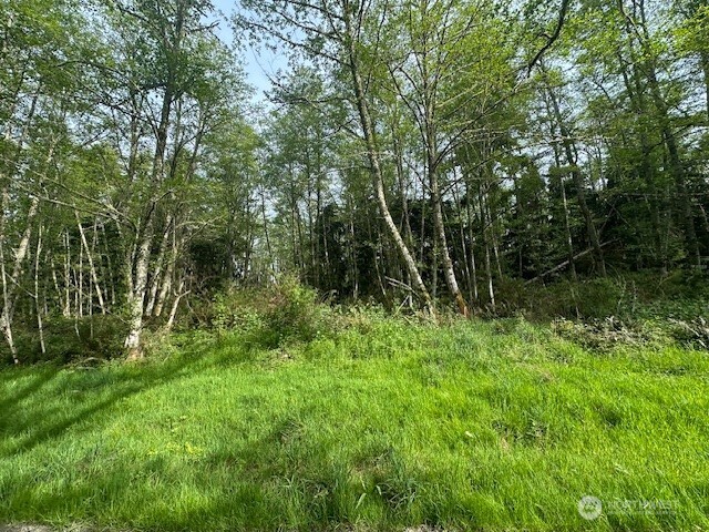 12 Ander Park Road Freeland, WA 98249 - Photo 12 of 19 a backyard of a house with lots of green space