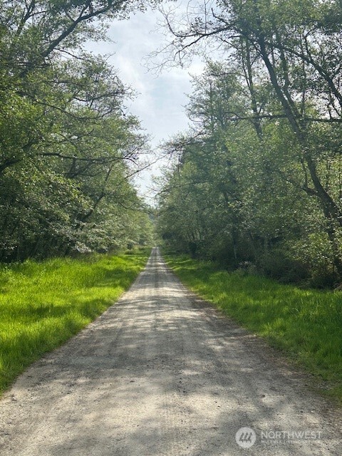 12 Ander Park Road Freeland, WA 98249 - Photo 2 of 19 a view of a road with a yard