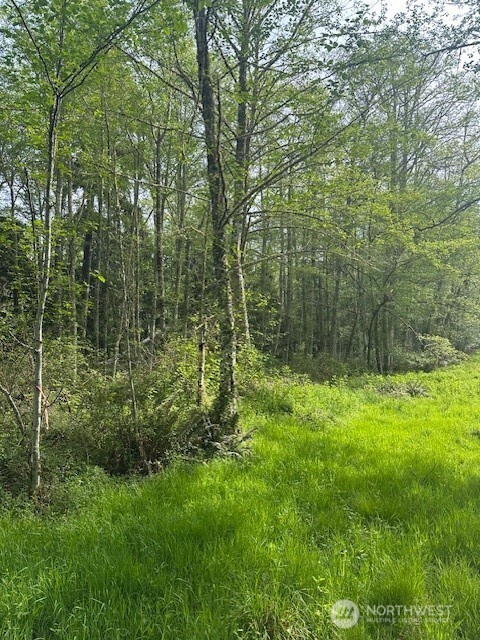 12 Ander Park Road Freeland, WA 98249 - Photo 5 of 19 a view of a lush green forest