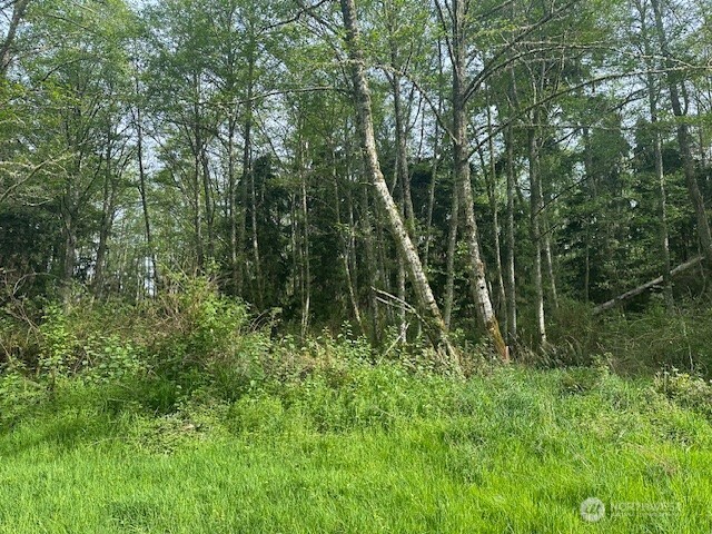 12 Ander Park Road Freeland, WA 98249 - Photo 6 of 19 a view of forest
