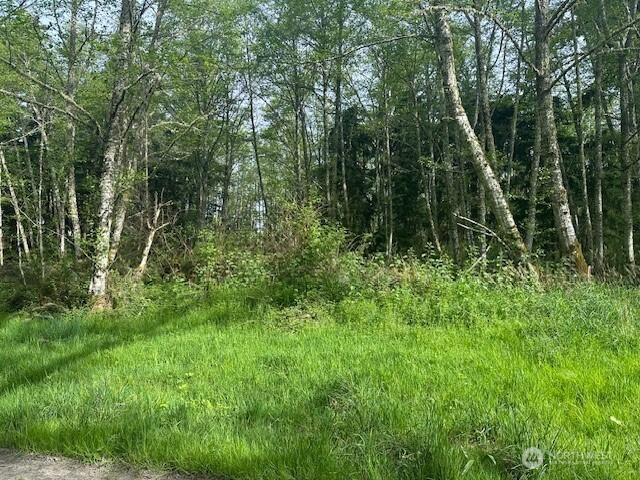 12 Ander Park Road Freeland, WA 98249 - Photo 7 of 19 a view of a lush green forest