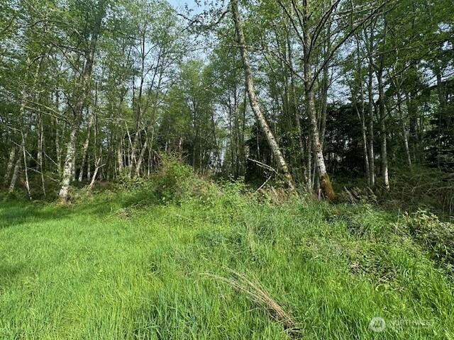 12 Ander Park Road Freeland, WA 98249 - Photo 10 of 19 a view of outdoor space and green space