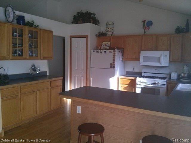 6105 Rivers Edge Drive Howell, MI 48855 - Photo 11 of 23 Kitchen 2.jpg