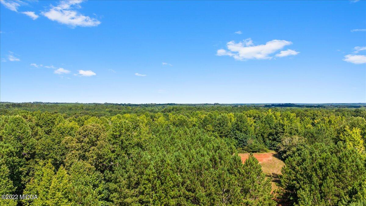 256 Edwards Road Juliette, GA 31046 - Photo 31 of 31 10.6.05-DJI_0030