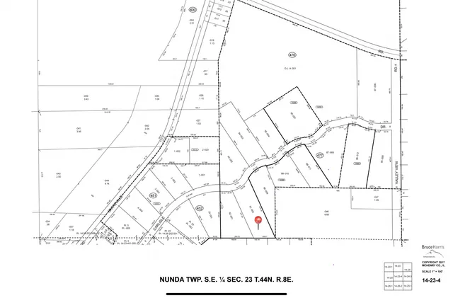 a view of a lush green forest