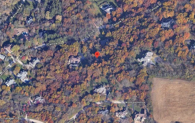 a view of a lush green forest