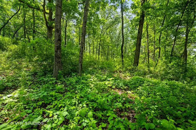 a view of path view with green space