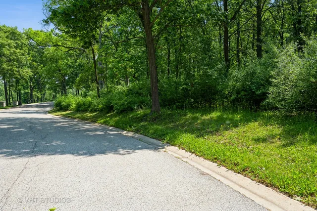 a view of a back yard