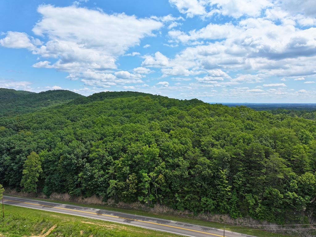 Tbd Sontag Road Rocky Mount, VA 24151 - Photo 1 of 28 Gallery Image 1