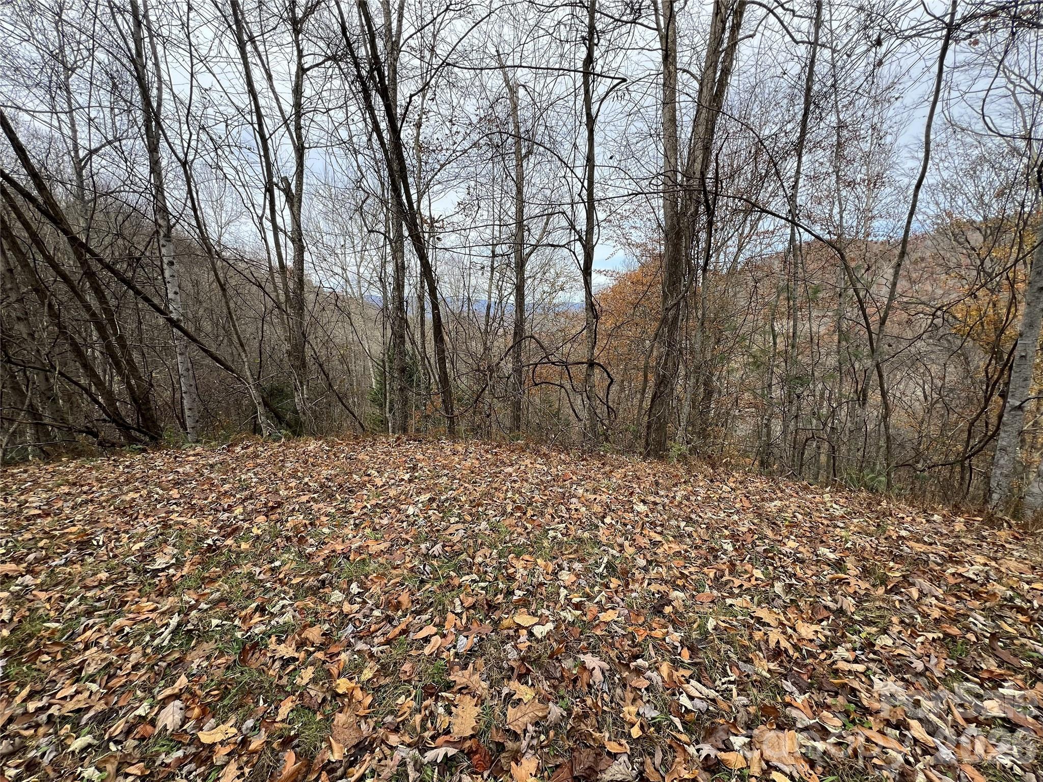 Lot 7 Deer Ridge Road Bryson City, NC 28713 - Photo 2 of 5 a backyard of a house with large trees
