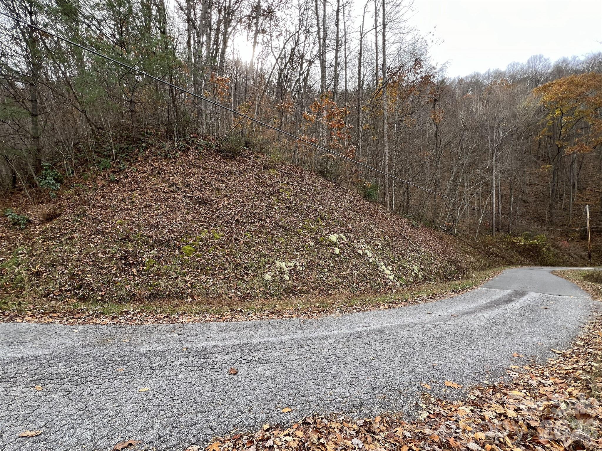 Lot 7 Deer Ridge Road Bryson City, NC 28713 - Photo 3 of 5 a view of a yard with trees in the background