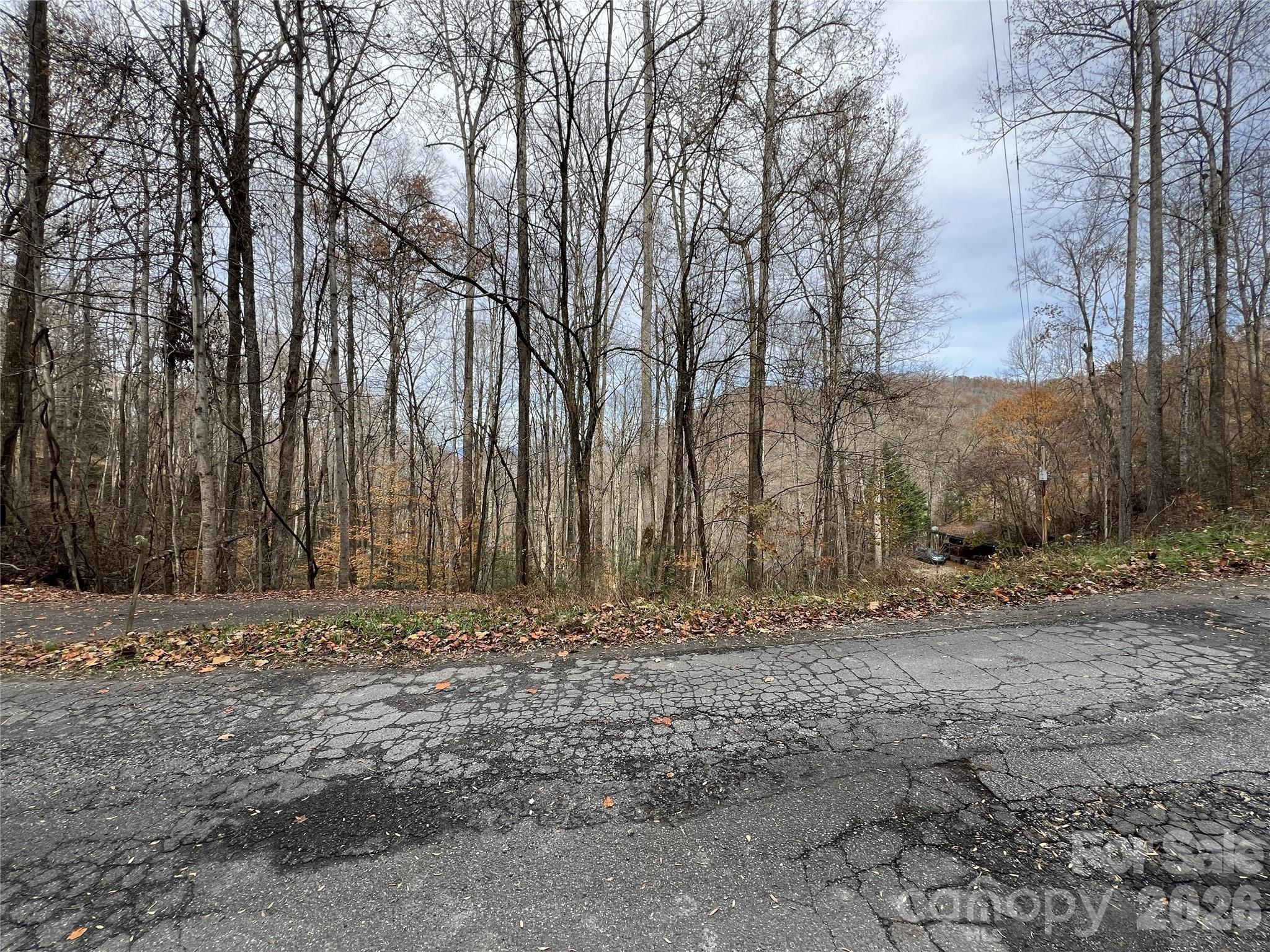 Lot 7 Deer Ridge Road Bryson City, NC 28713 - Photo 5 of 5 a view of a backyard with large trees