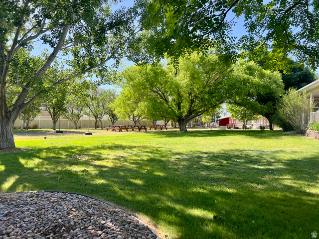 812 East Bates Cyn Road Tooele, UT 84074 - Photo 5 of 144 Expansive green lawn framed by mature trees, featuring multiple picnic tables and a white perimeter fence