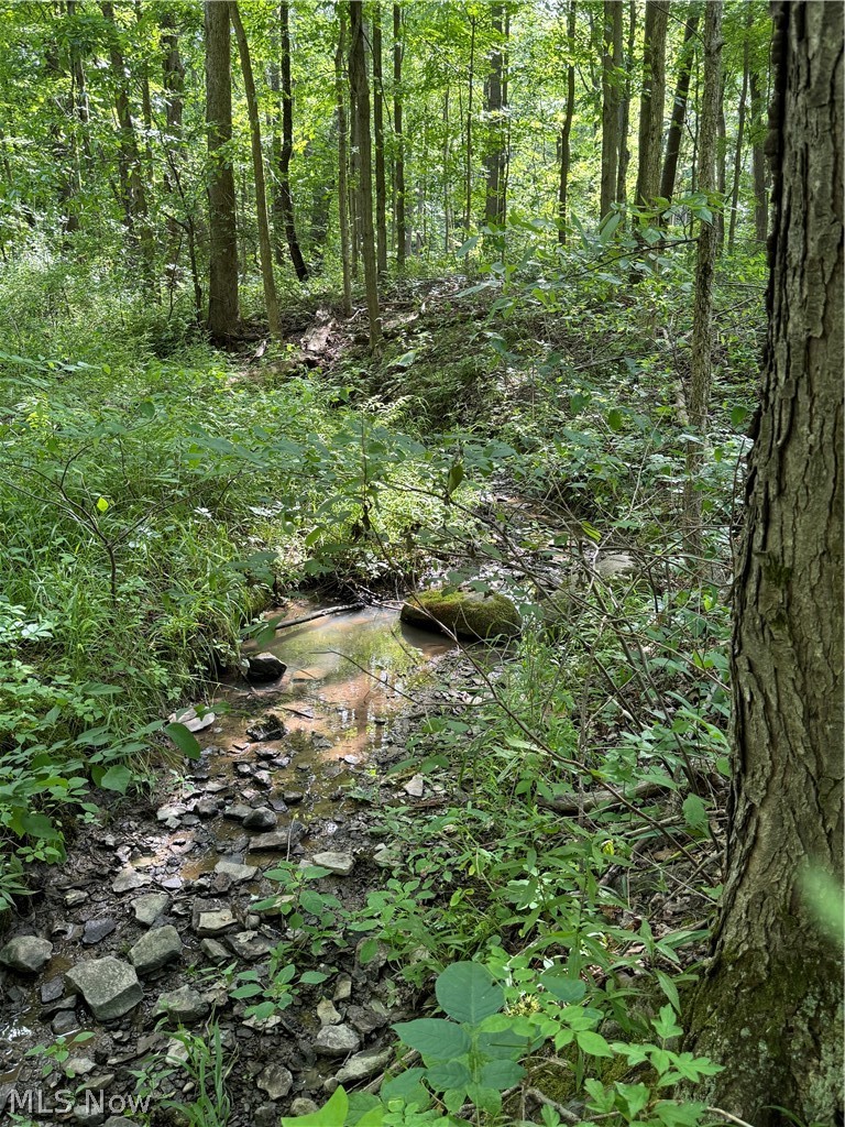 5 Leroy Center Road Thompson, OH 44086 - Photo 3 of 20
