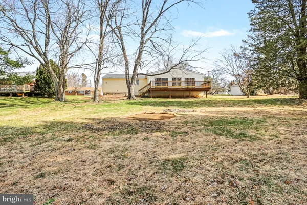a big yard with large trees
