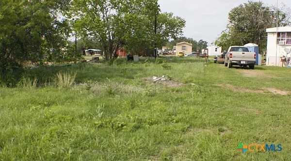 a view of yard with trees