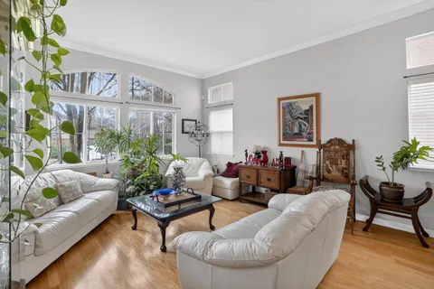 a living room with furniture or couch and a potted plant