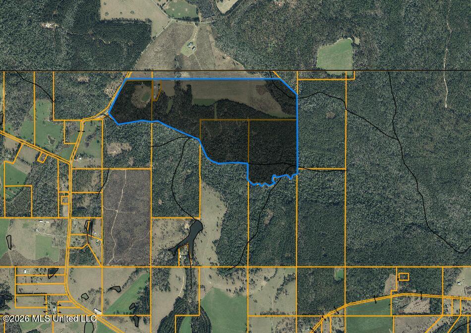 110 Tyner Branch Road Wiggins, MS 39577 - Photo 5 of 84 Large Aerial