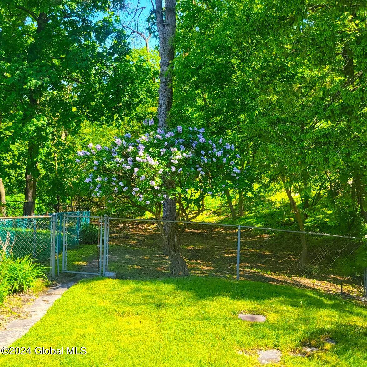 147 3rd Avenue Rensselaer, NY 12144 - Photo 11 of 17 147thirdyardlilacs