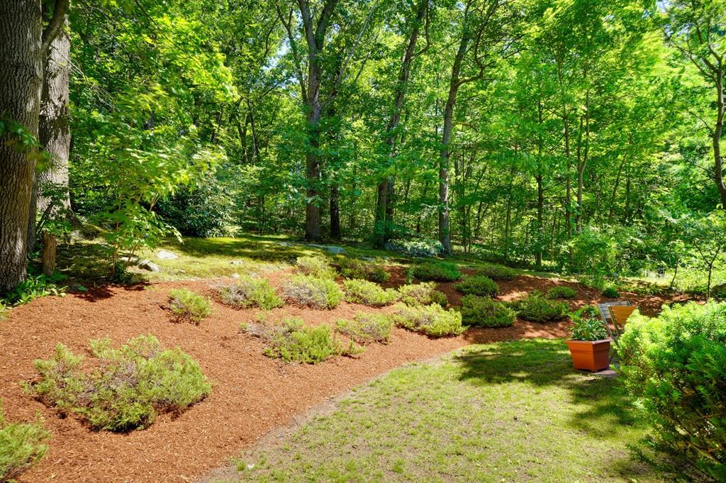18 Brookside Avenue Lexington, MA 02421 - Photo 3 of 39 Gallery Image 3