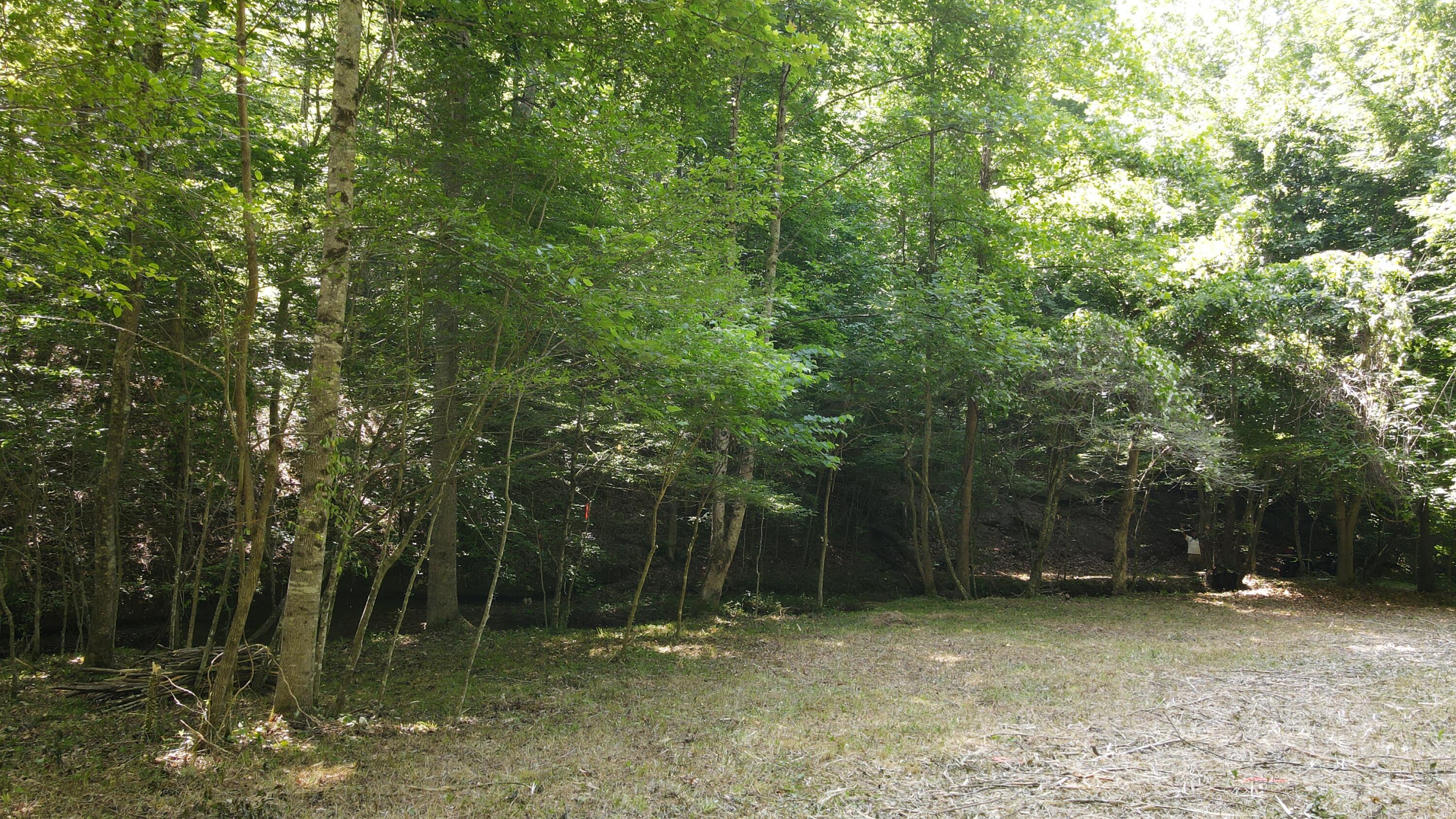1101 Hull Road, Unit TRACT 9 WOODS WAYNE FOREST) Patriot, OH 45658 - Photo 57 of 61 20240621_152040000_iOS