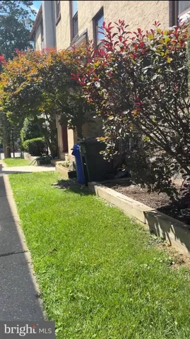 a view of a park with large trees
