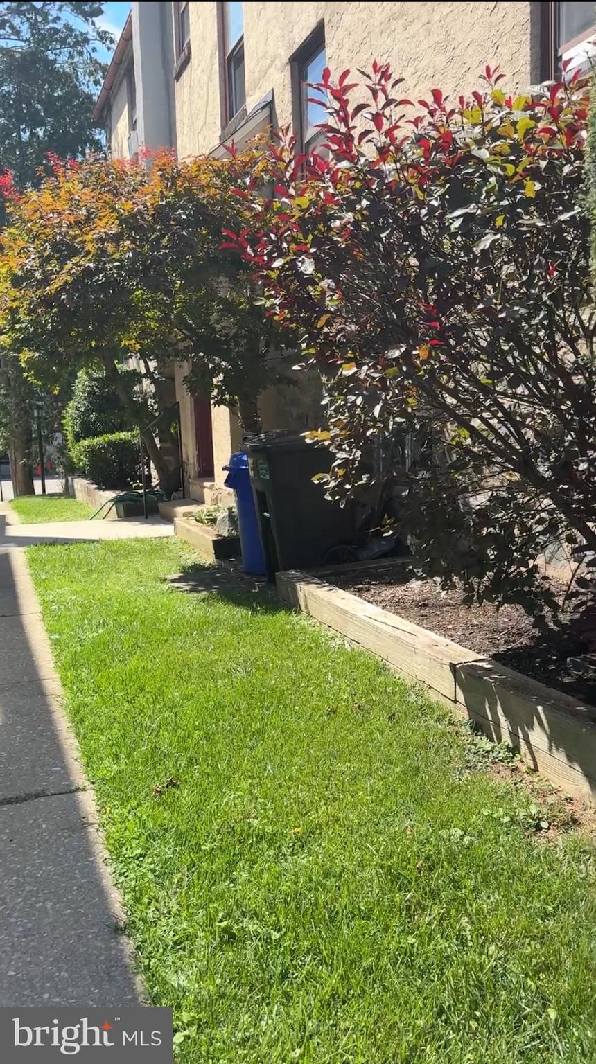 a view of a park with large trees