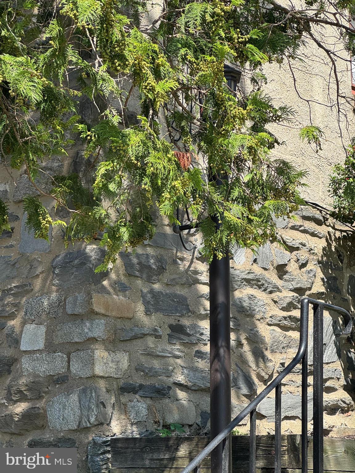 2313 Haverford Road Ardmore, PA 19003 - Photo 3 of 12