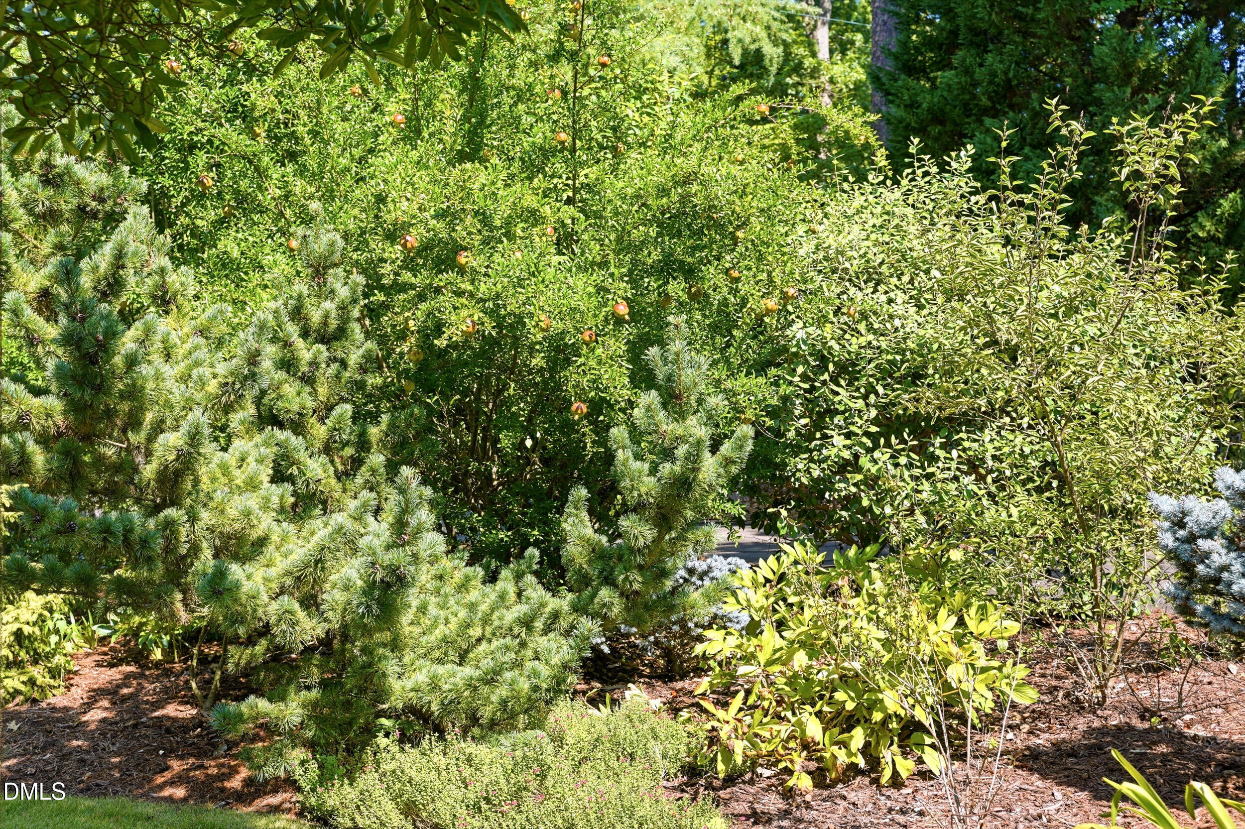 3129 Eton Road Raleigh, NC 27608 - Photo 76 of 100 85_3129 eton road 85