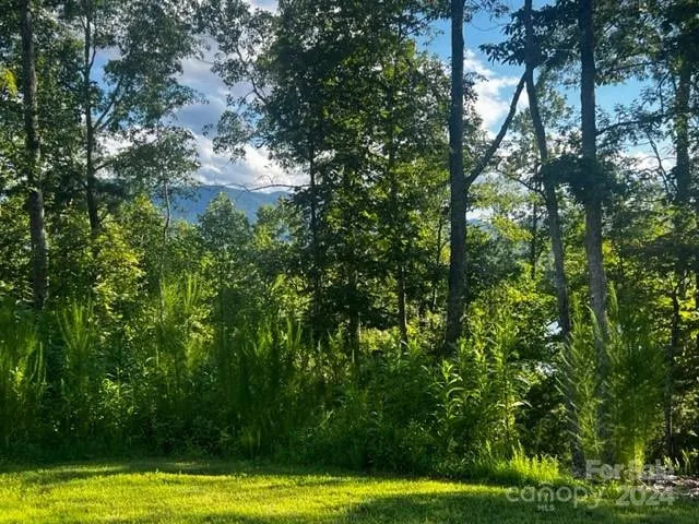 a view of swimming pool with a yard