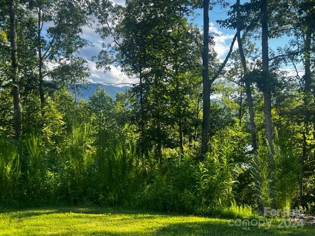 23 Mountain Parkway Mill Spring, NC 28756 - Photo 1 of 15 a view of swimming pool with a yard